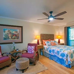 Sp119b - Adorable, Affordable Studio, With Pool And Hot Tub, New Bed! Apartment